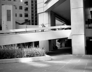 roll73 tri-x400 M7ii521