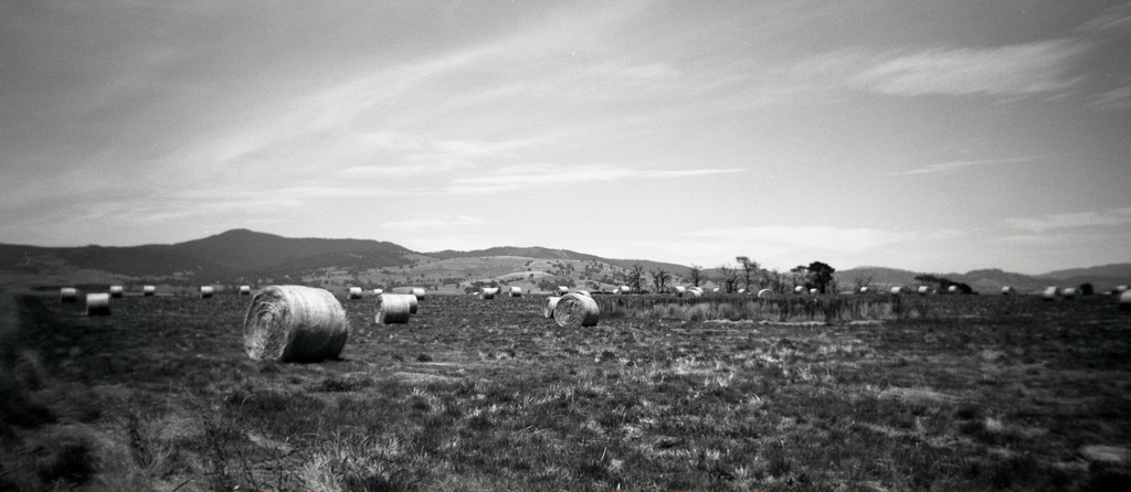 Holga 120 Pan Panoramic Medium Format Camera Analog Camera Holga