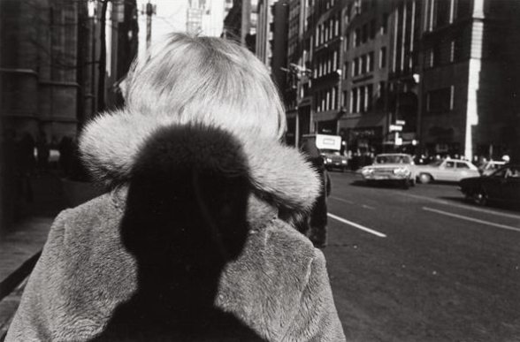Lee Friedlander