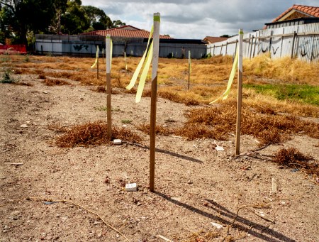 Roll 237 Portra400 H1 50316