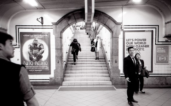 11004338833_ef11100116_k