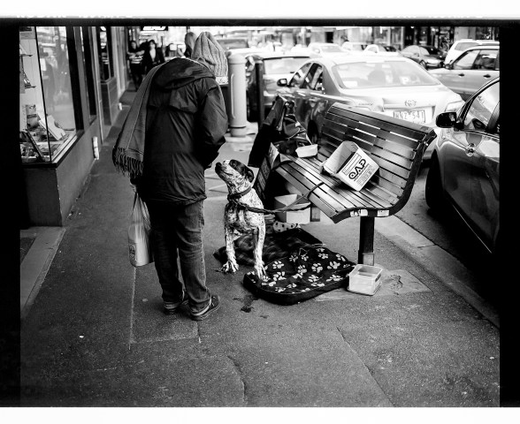 Roll 305 tmax400 mam7tde160