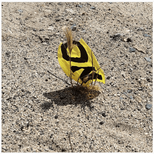 Screen Shot 2015-09-09 at 8.52.44 pm