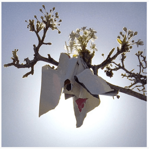 Screen Shot 2015-09-09 at 8.53.22 pm